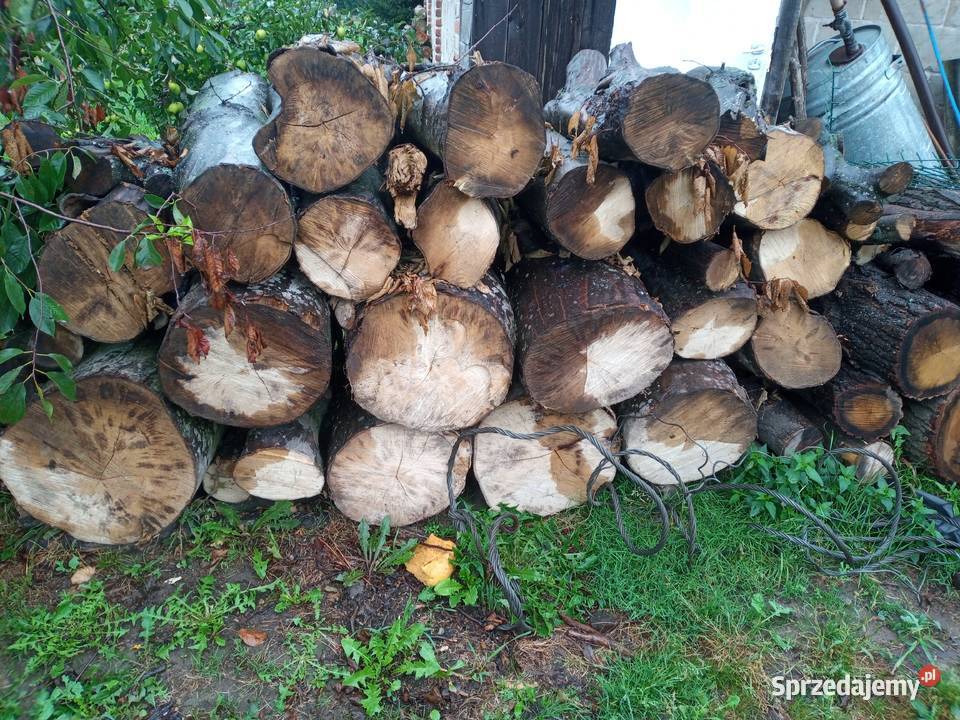 Drewno grab dąb rozpalkowe