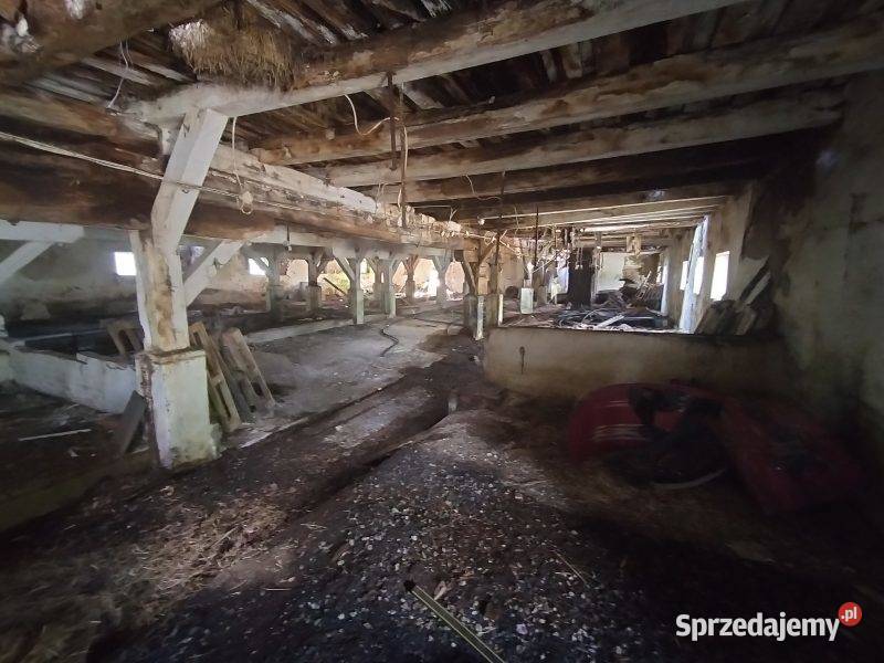 Syndyk sprzeda nieruchomość z budynkiem 13980m2 Sprzedaż Sucha Koszalińska