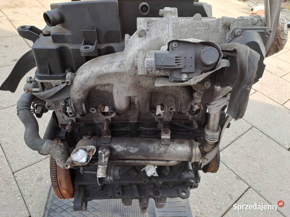 Volkswagen Golf V 19 TDi 105 silnik kod BLS Silniki kompletne Jastrzębie-Zdrój