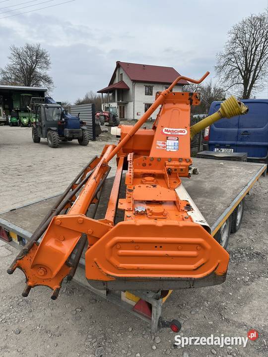 Brona wirowa maschio 25m