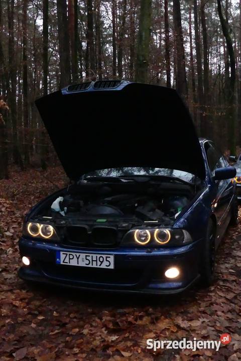 Bmw e39 530i M54b30 Czerników