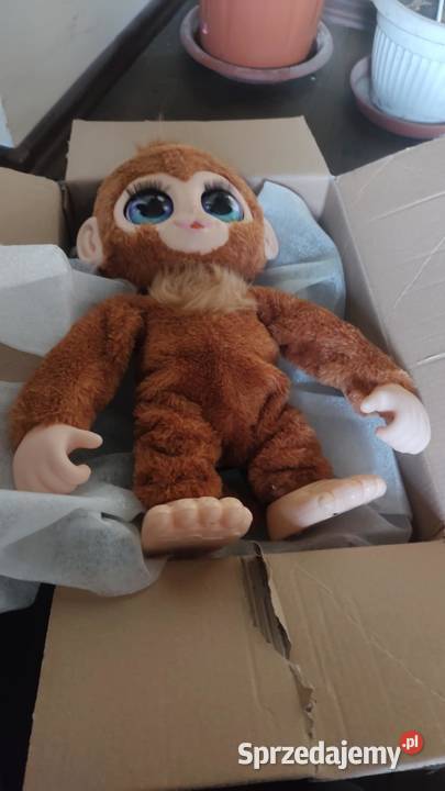 interaktywna małpka furreal peanut Książ Wielkopolski