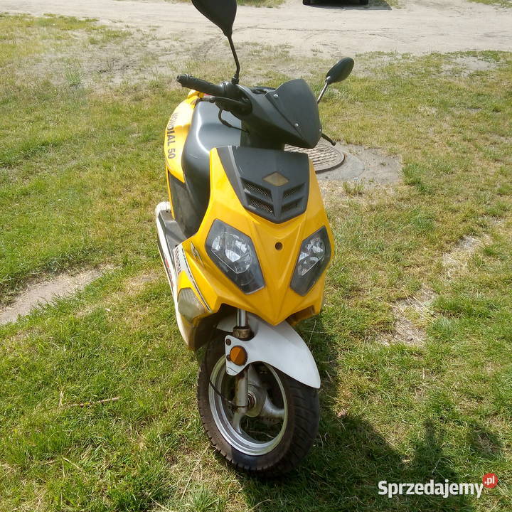 2 x Motorower Lidzbark