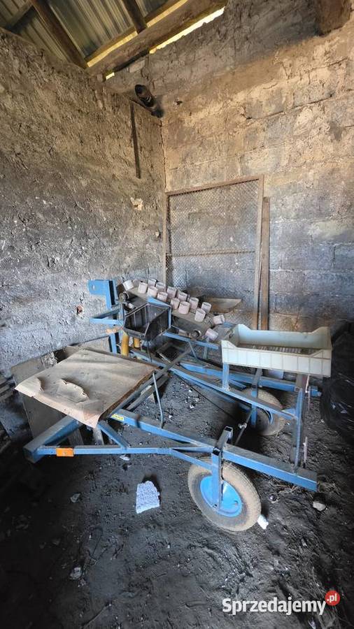 Sadzarka do bobu fasoli świętokrzyskie Skalbmierz