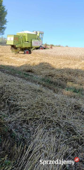 Sprzedam Claas dominator 80 lubelskie