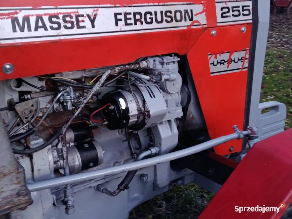 sprzedam fergusona Hrubieszów