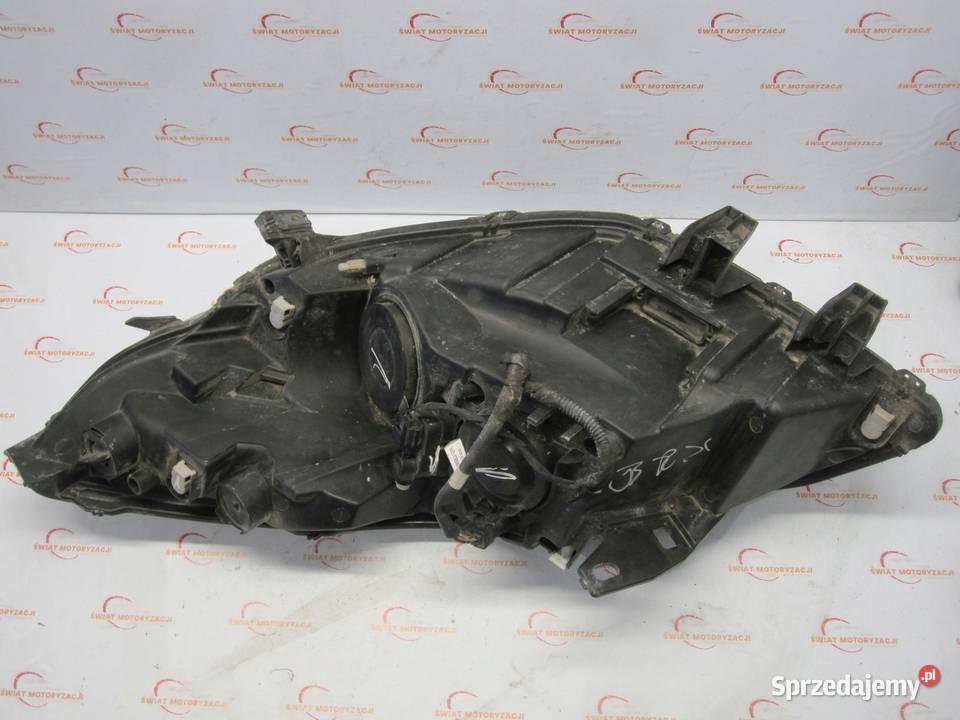 RENAULT SCENIC III 10r lampa prawa przód ANGLIK Kielce