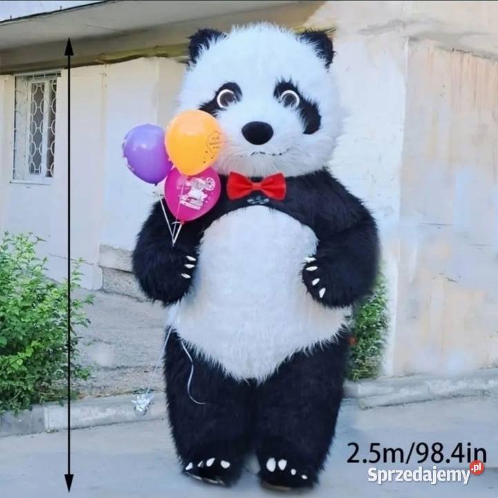 Panda miś kostium dmuchany 25m z BATERIĄ Sochaczew