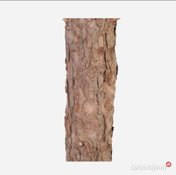 Nowa Oryginalna Choinka KRIS na pniu 150 Polski