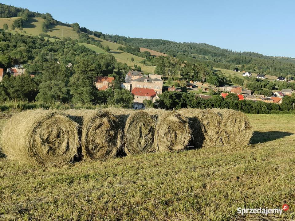 Siano 2025 baloty 120x120 Głuszyca