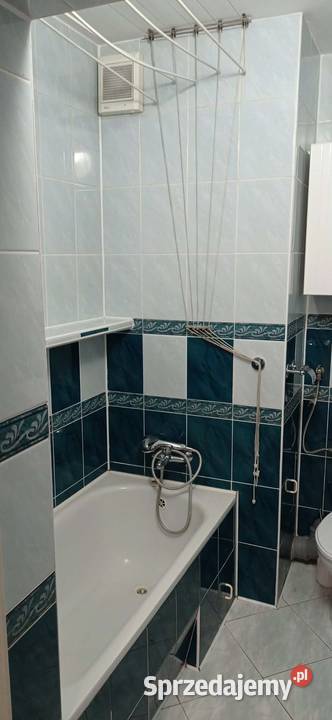 Sprzedam mieszkanie 452 m2 w Świeciu 7965zł/m2 Nieruchomości kujawsko-pomorskie
