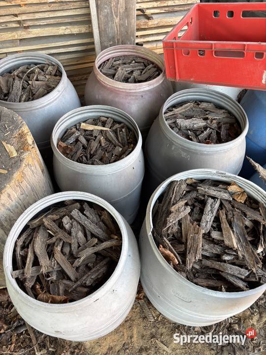 Dębowa Kora Kora Skarżysko-Kamienna