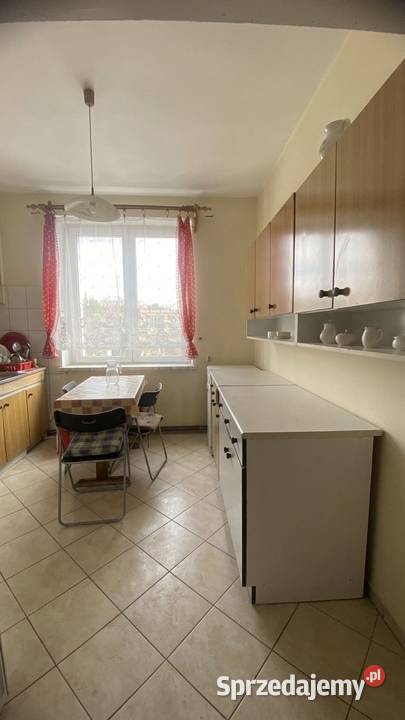 MIESZKANIE DO WYNAJĘCIA 2 pokoje 4937 m2 Dzierżoniów