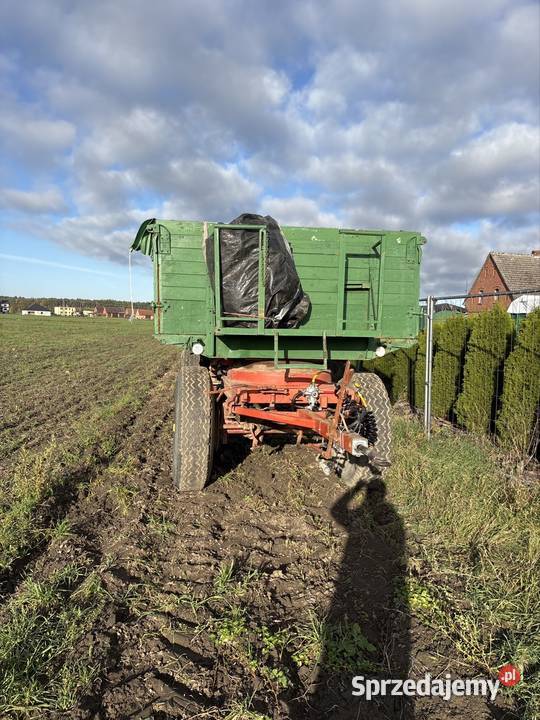 Przyczepa 12dmc wywrot Borkowice