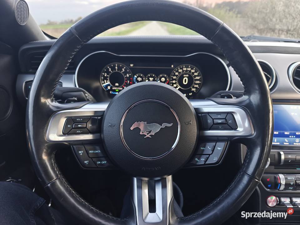 Ford Mustang 50 V8 GT 2018 Radwanice