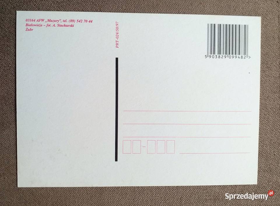 ŻUBR Z BIAŁOWIEŻY FOT STACHURSKI Pocztówki i karty telefoniczne Piszczac