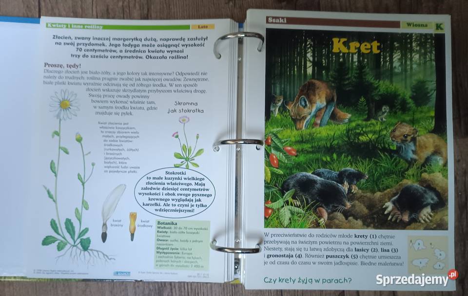 Leśne przygody karty z albumu DeAgostini Zbylitowska Góra