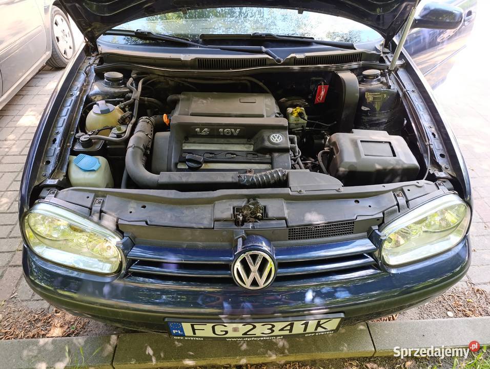 Volkswagen Golf IV 14 klima i długie opłaty Zarejestrowany w Polsce Sulęcin sprzedam