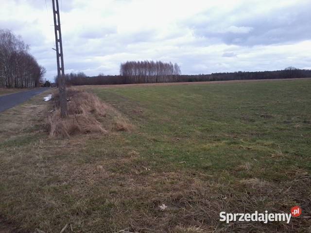 Sprzedam działkę 14133 ha w Rejowcu Fabrycznym budowlana Rejowiec Fabryczny sprzedam