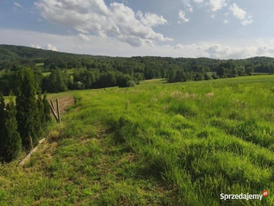 Lipnica Dolna 7 hektarów 33 ary dwie działki leśna