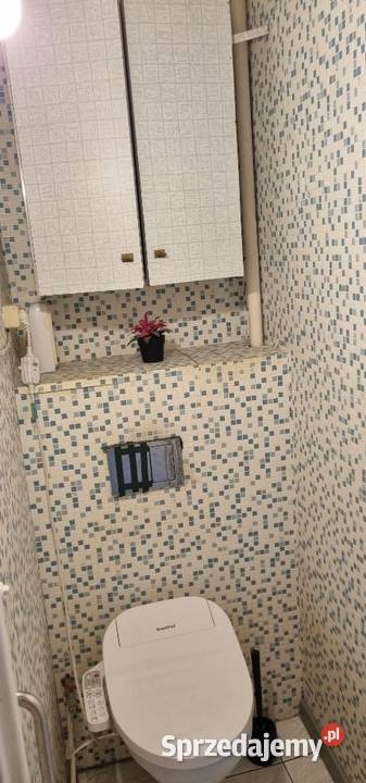 3pok 62met Sielskiej BALKONPIWNICAWINDA Wrocław Sprzedaż