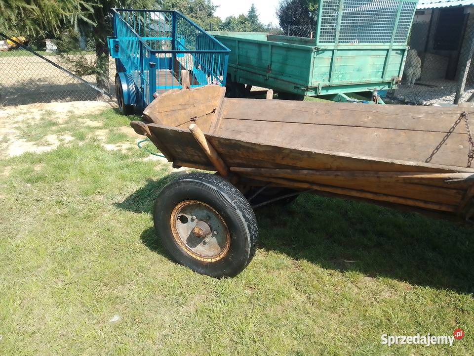 Wóz konny możliwość transportu