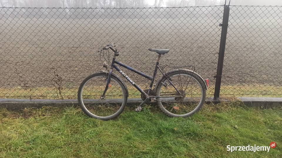 rower forester gurski Brzostek