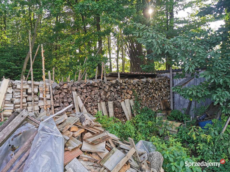 Drzewo na sprzedaż Janów Lubelski