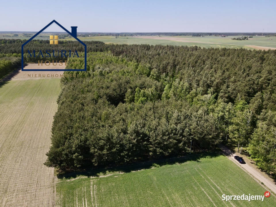 Duża działka budowlana w lesie Drwęcy