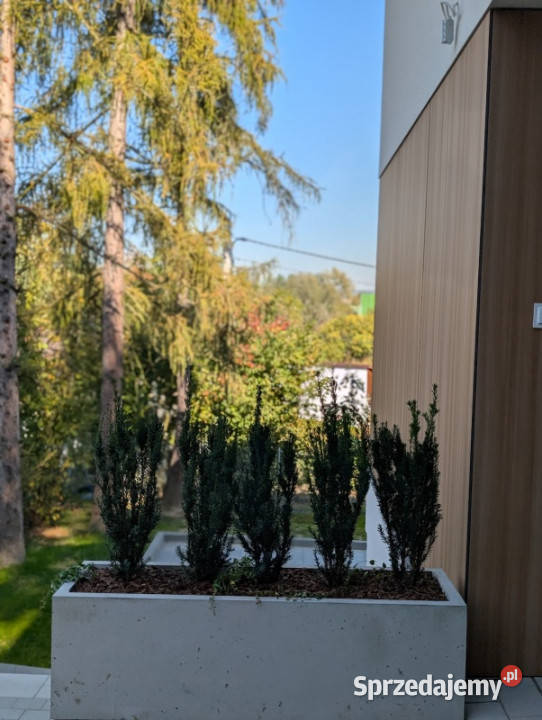 Gotowy DOM premium 14880 m2 działka z własnym Sprzedaż