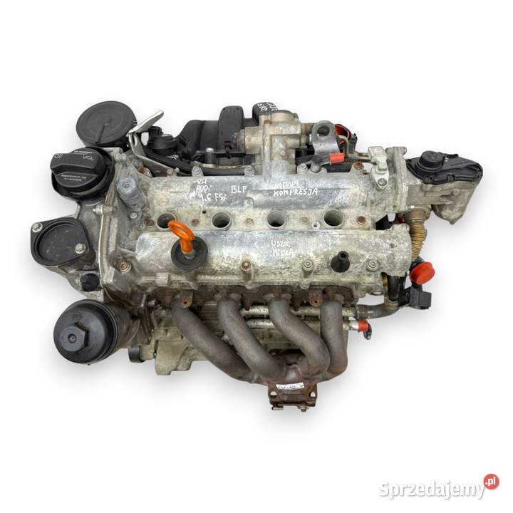 SILNIK BLF Audi A3 II 8P Skoda Octavia II 16 FSI Chełm