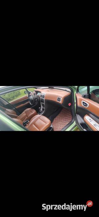 Peugeot 307 Turek