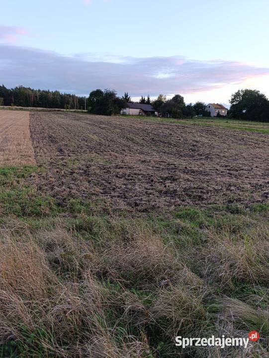 Działka Lesie 7 Uzdrowiska BuskoZdrój 30ar 60ar 100m świętokrzyskie Kobylniki