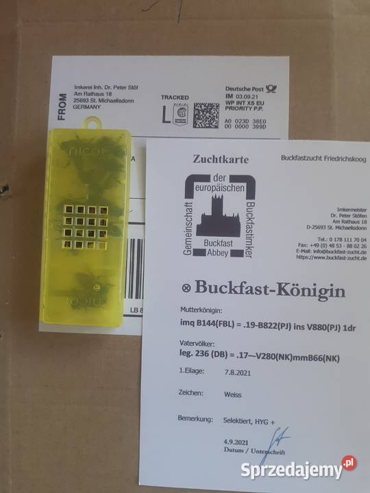 Rodziny pszczele pszczoły 10 ramek Wielkopolskie mazowieckie Wólka Radzymińska