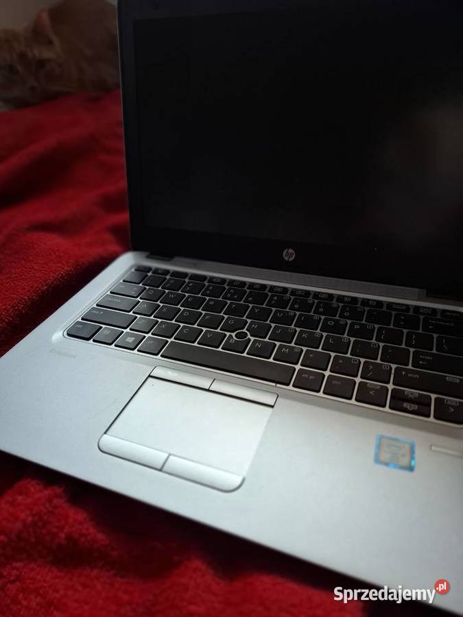 Laptop na części HP zachodniopomorskie Kołobrzeg