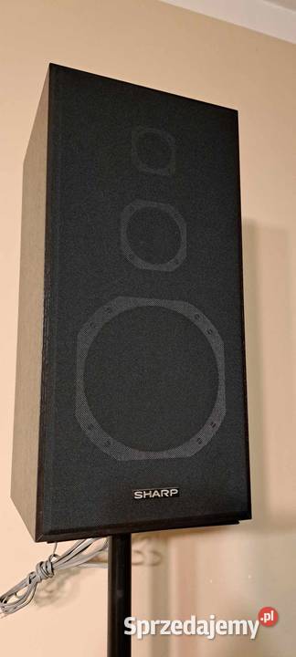 Kolumny stereo Sharp CPW5H Elektronika