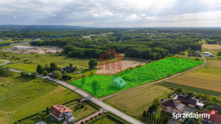 Działka Borek Wielki Króla Kazimierza