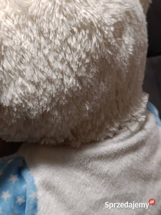 miś pluszowa zabawka maskotka pluszak z napisem Poznań