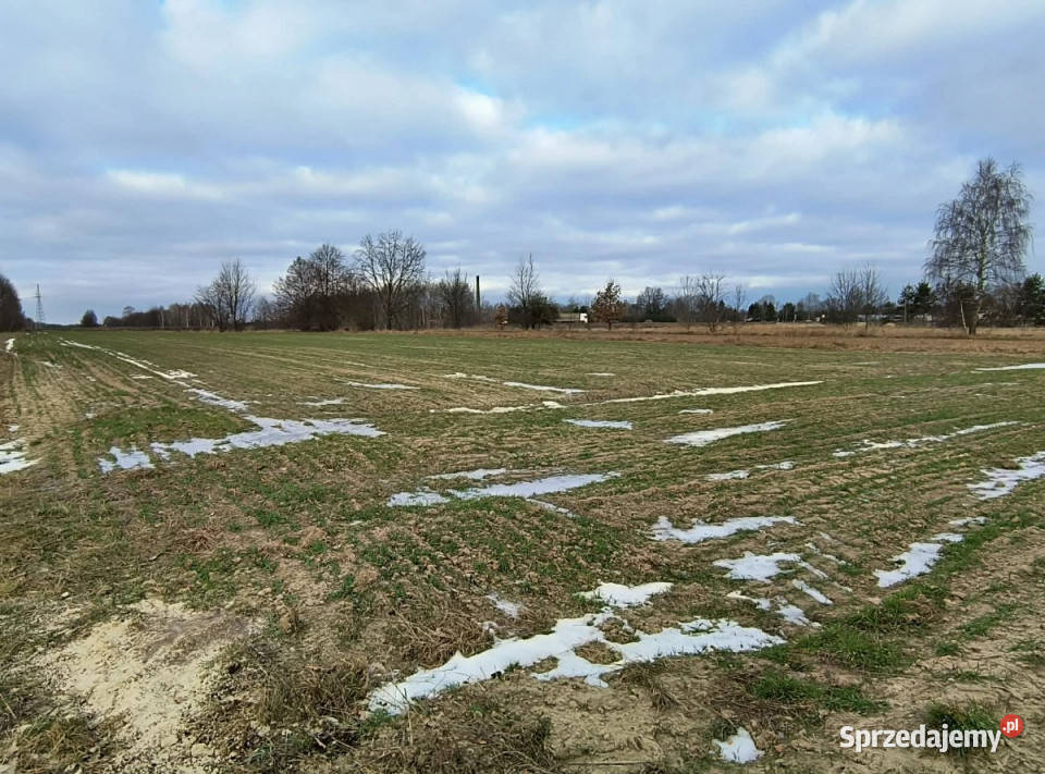 sprzedaży działki Wincentów 900m2 budowlana Sprzedaż sprzedam