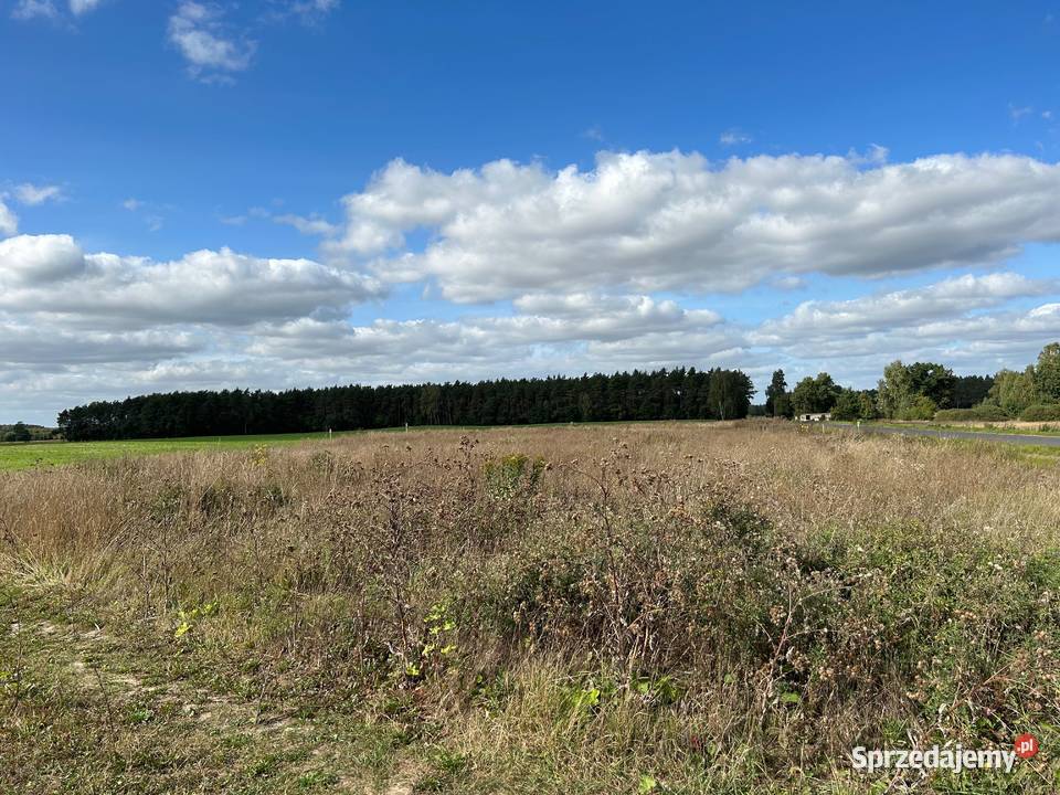 Działka Sosnowo rekreacyjna