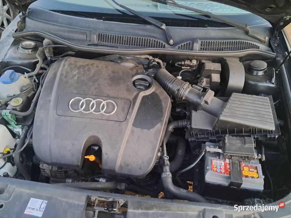 Audi A3 Fl 16 2000r 5 Drzwi Wszystkie części Płońsk sprzedam