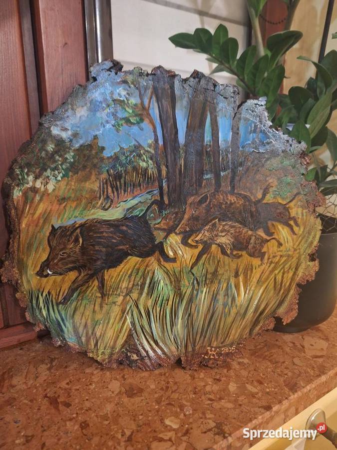 Obraz malowany ręcznieDziki w lesie Strzyżów sprzedam