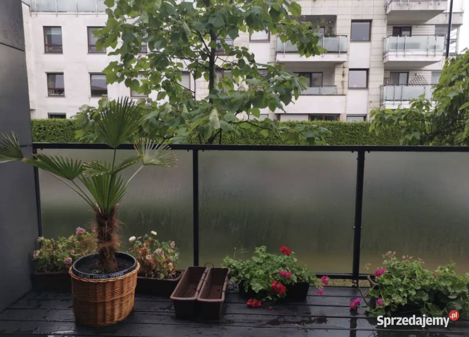 Wynajmę mieszkanie z dużym tarasem na Wilanowie ul. Klimczaka 8a