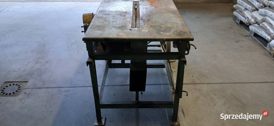 Krajzega piła stołowa Rawicz