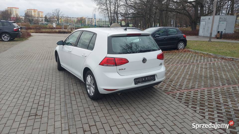 100Bezwypadkowy Tdi 110 Oryginalny lakier Puławy