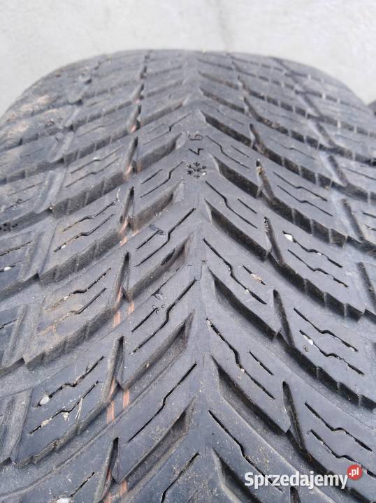 Opony 2055516 all seasons Nokian