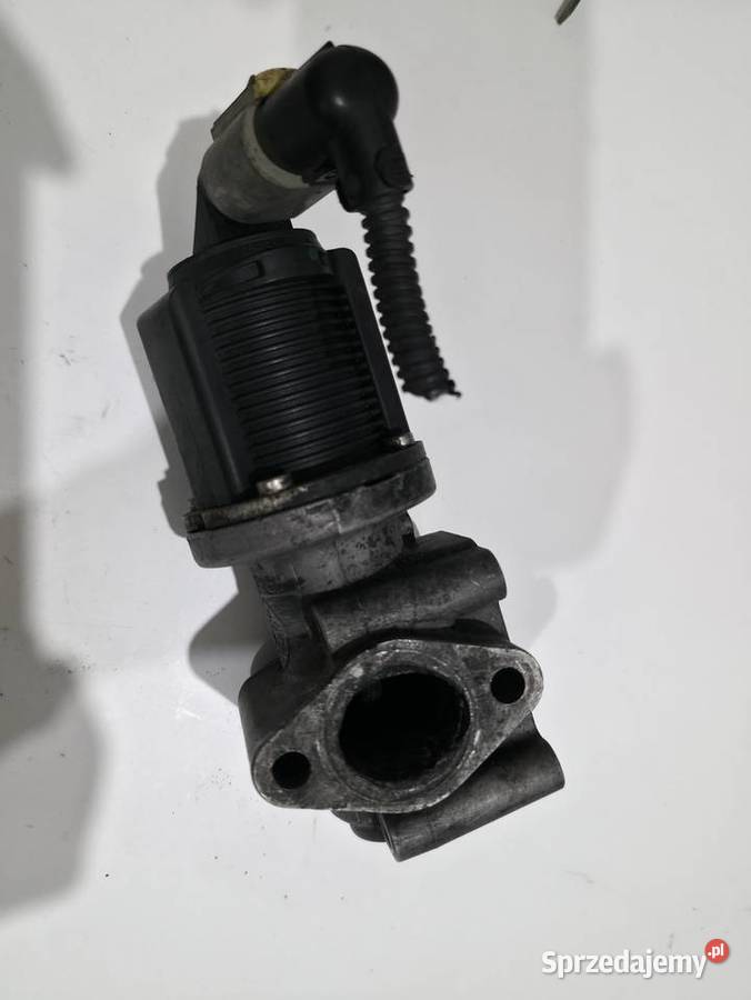 ZAWÓR EGR OPEL ASTRA H 19 CDTI 150 2006 55204250 Pozostałe Iława