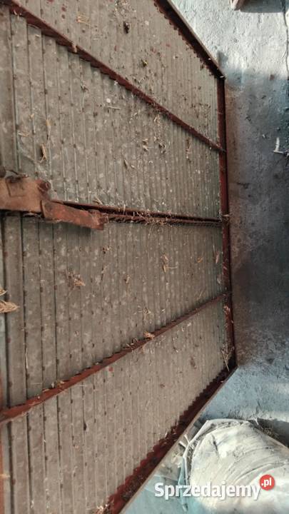 Śita Bizon z040 Leszno