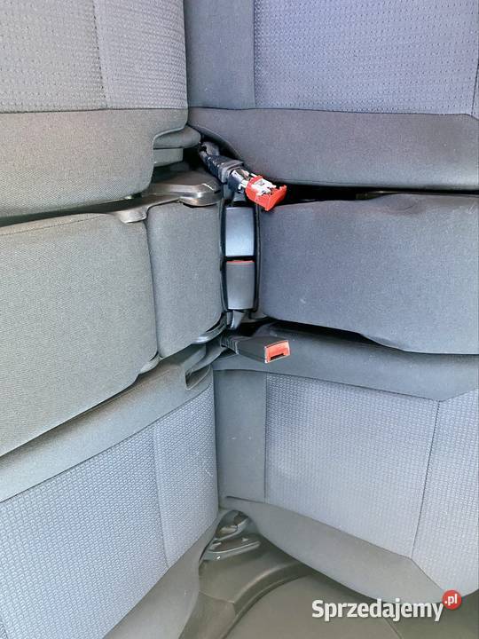 Opel Signum 19 CDTI 150 2006 Czarna Perła ASR (kontrola trakcji) Signum Lębork