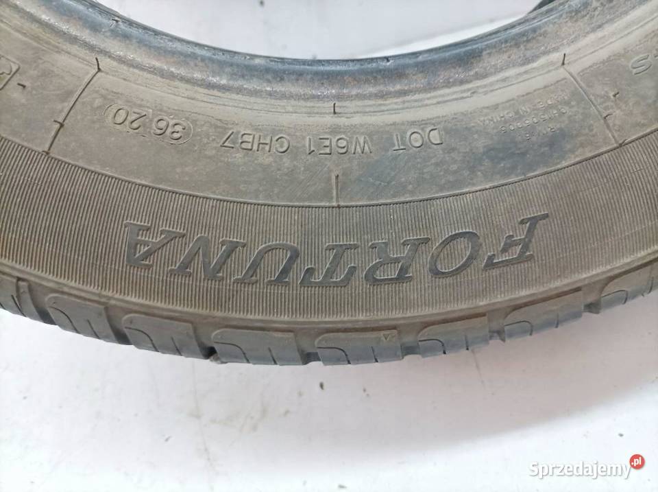 OPONA ZIMOWA FORTUNA ECOPLUS 4S 19565R15